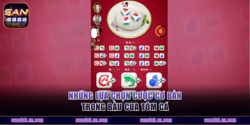 Những lựa chọn cược cơ bản trong Bầu Cua Tôm Cá