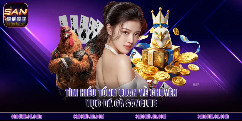 Tìm hiểu tổng quan về chuyên mục đá gà Sanclub